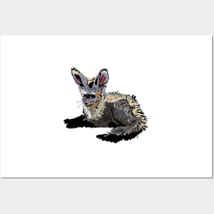 Bat-eared Fox Posters and Art